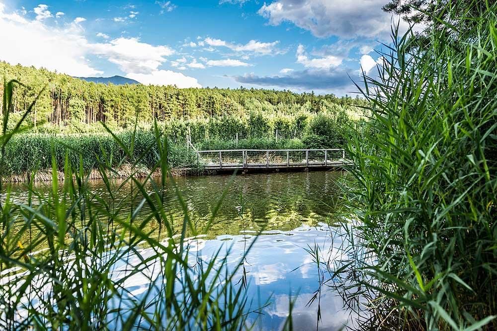 Walderhof Natzヴィラ エクステリア 写真